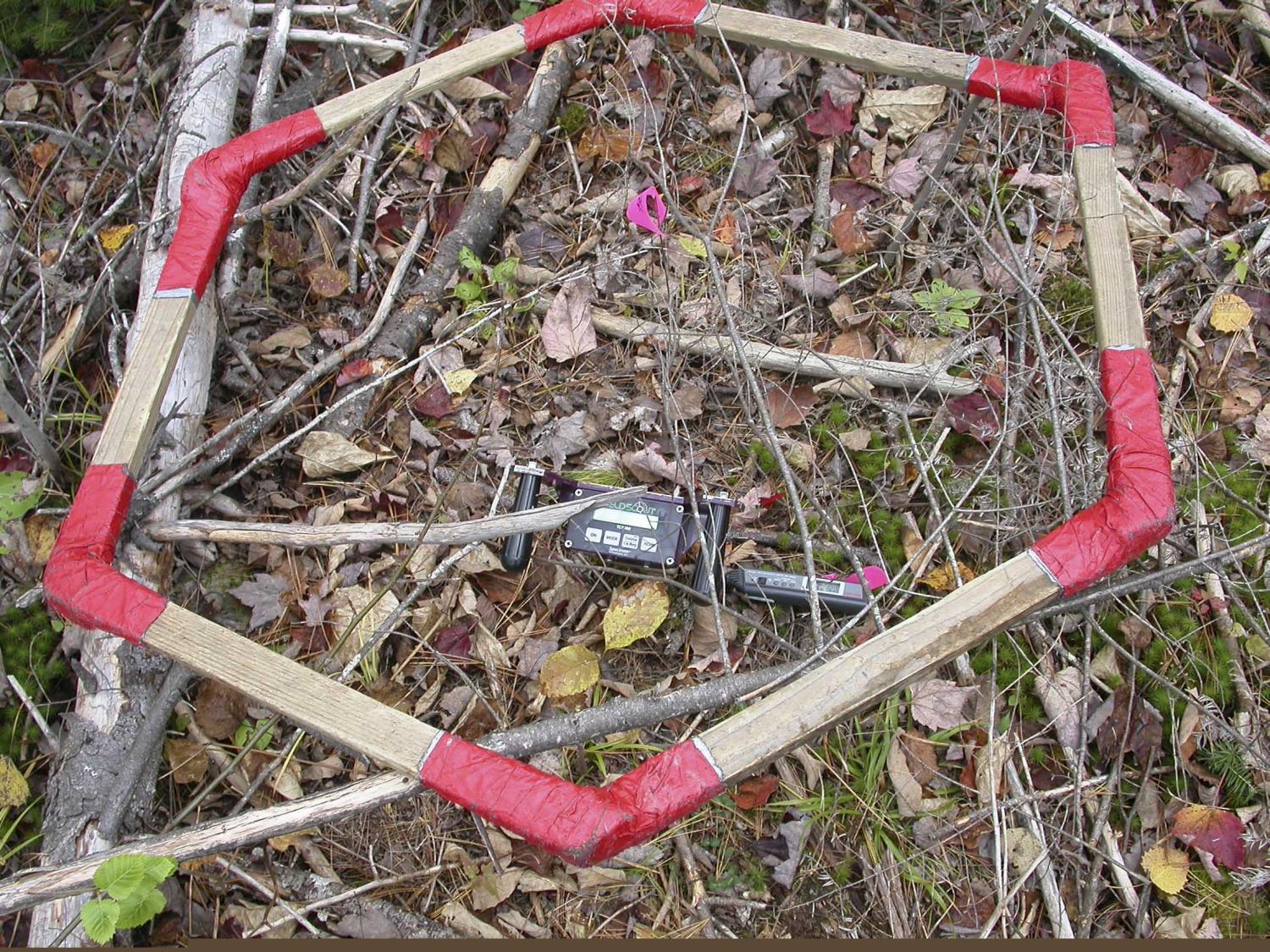 Data Collection Hexagon